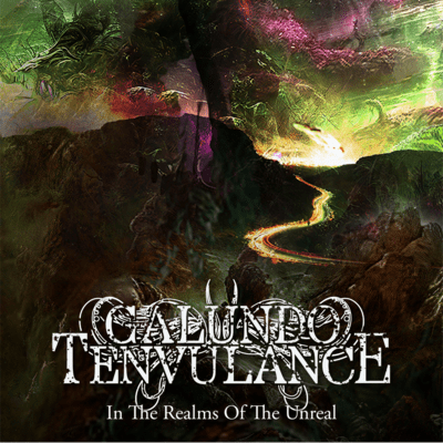 In The Realms Of The Unreal Front Cover