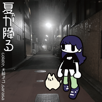 summer is falling Front Cover