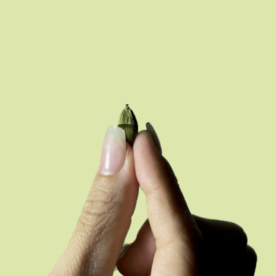 Cardamon Front Cover