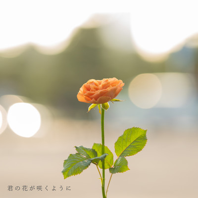 君の花が咲くようにのジャケット写真