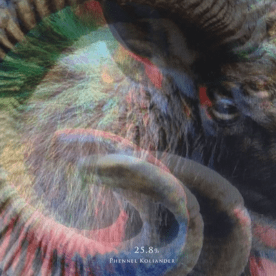 25.8% Front Cover