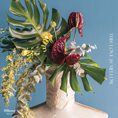 THIS LOVE IS MELLOW Front Cover