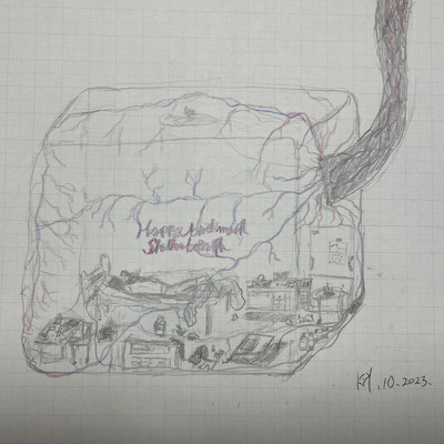 shallow breath Front Cover