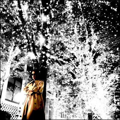 ロックンロールのせいにしようのジャケット写真