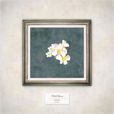 Wild Rose Front Cover