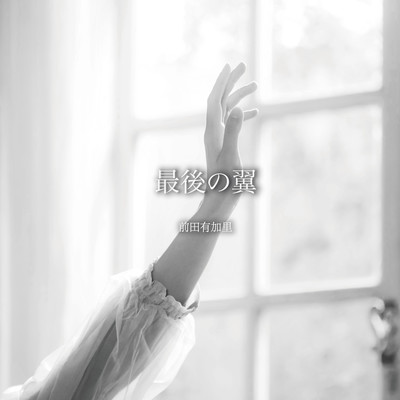 Saigo no Tsubasa -The Last Wings- Front Cover