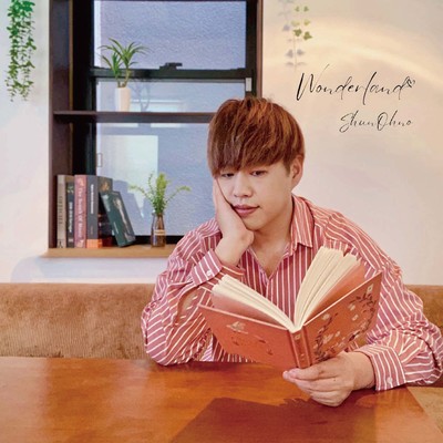 Wonderlandのジャケット写真