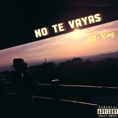 No te vayas Front Cover