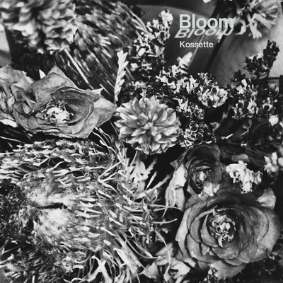 Bloom (feat. 莉華子)のジャケット写真