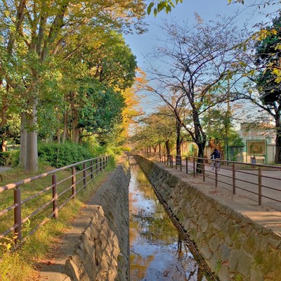 Yuhodo Front Cover