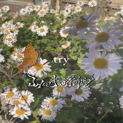 tryのジャケット写真