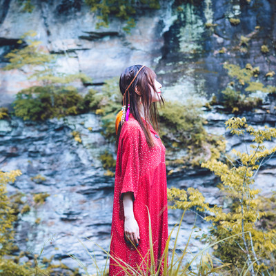 フェニックスのジャケット写真