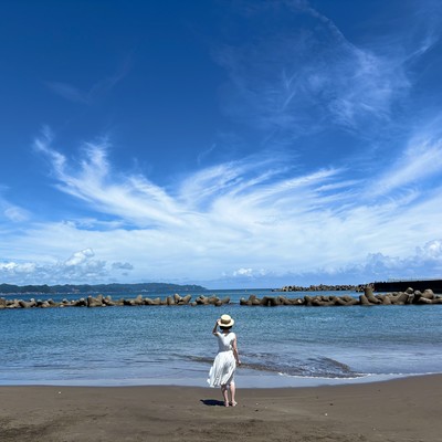 水平線のジャケット写真