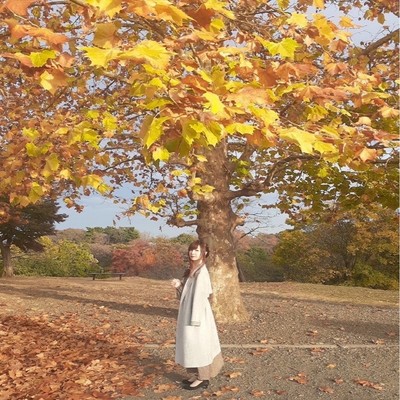 薄のジャケット写真