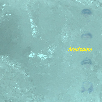 Icenone Front Cover