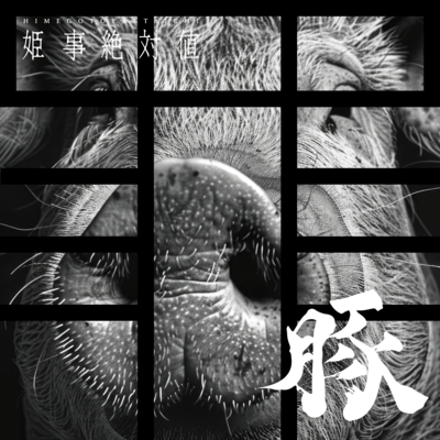 pig Front Cover