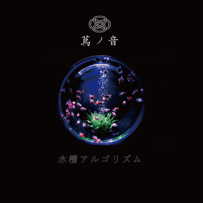 水槽アルゴリズムのジャケット写真