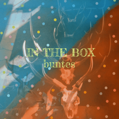 IN THE BOXのジャケット写真