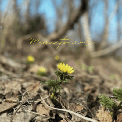 Memento mori Front Cover