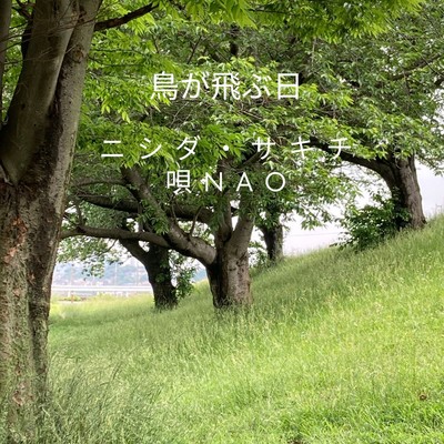 torigatobuhi (feat. Nao) Front Cover