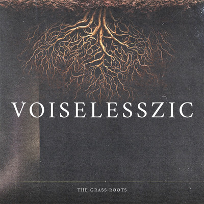 VOISELESSZICのジャケット写真