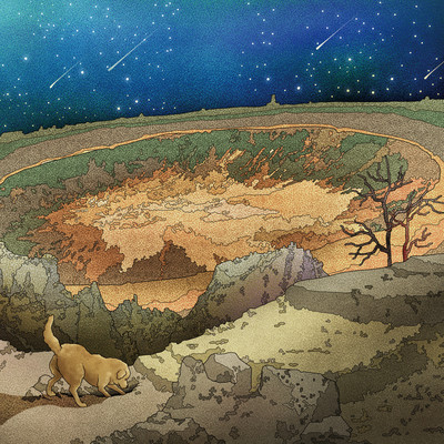 MIDNIGHT FOSSIL Front Cover