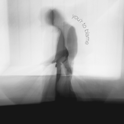 you'r to blame Front Cover