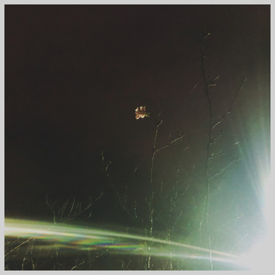 16のジャケット写真