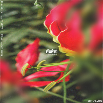 okitabakka/itoshino Front Cover