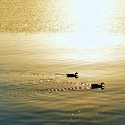 Beautiful Front Cover