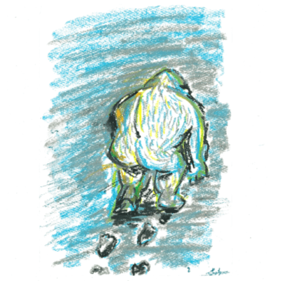 snow cave Front Cover