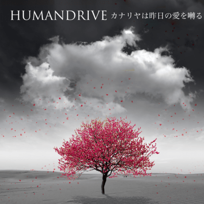 Kanariyawakinounoaiwosaezuru Front Cover