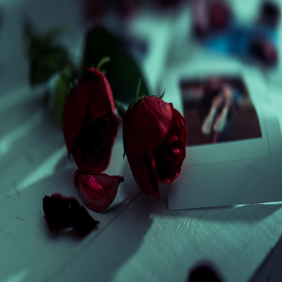 君とじゃなきゃ意味がないのジャケット写真