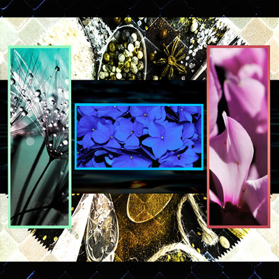 Mohou Film Front Cover