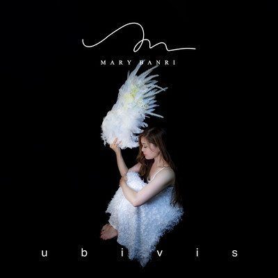 ubivis Front Cover