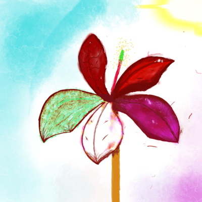 ArinomamaUtukushii Front Cover