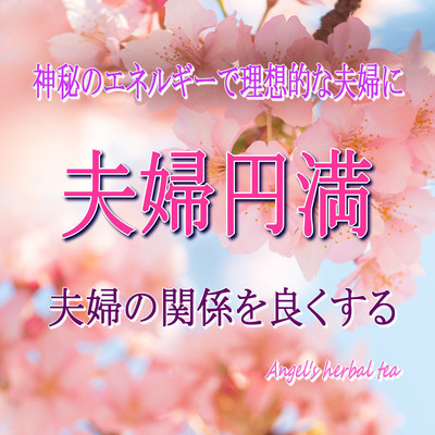 Married couple - Ideal marital relationship with mysterious energy Front Cover