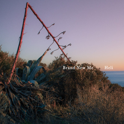 Brand New Me Front Cover