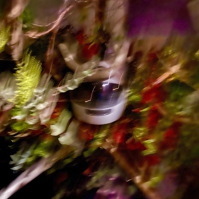 Bliss (feat. Final Drop)のジャケット写真