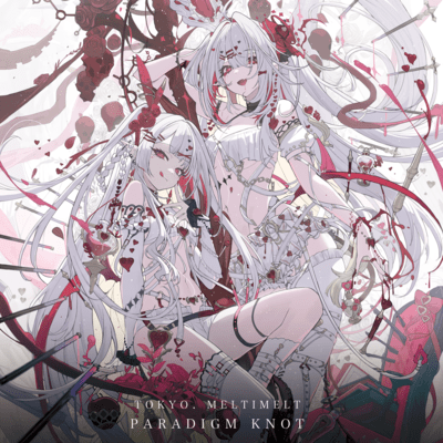 PARADIGM KNOT Front Cover