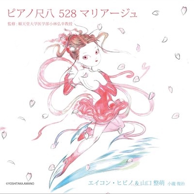 Piano Bamboo flute 528 mariage Director:Prof. Hiroyuki Kobayashi from Juntendo University, Faculty of Medicine Front Cover