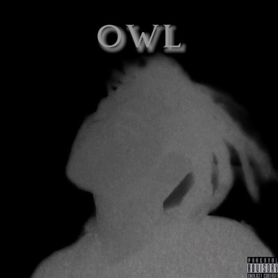 OWL Front Cover