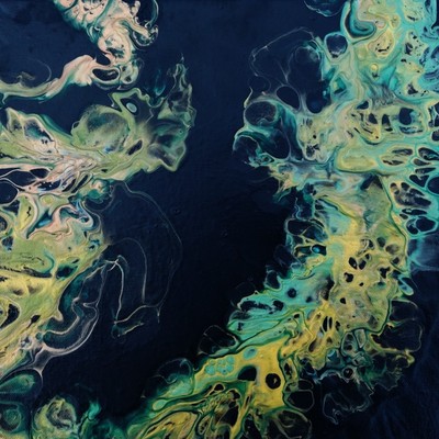 BLUE FOREST (feat. Tidy Montana & Benjamin Bridge) Front Cover