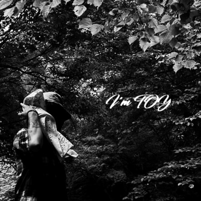 I'm TOY Front Cover