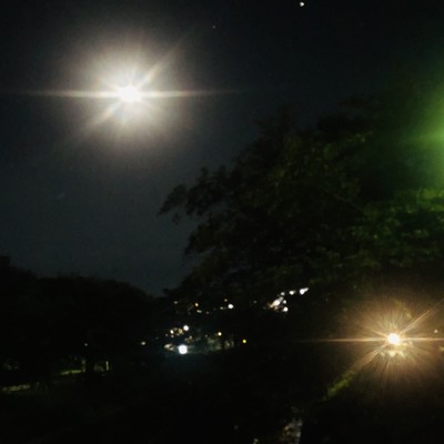 Middle of the Night (feat. Tok10) Front Cover