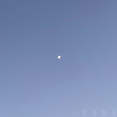 Thinking Front Cover