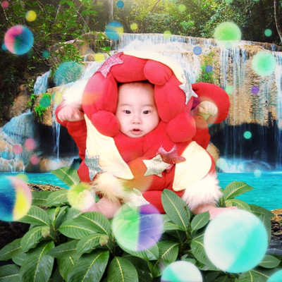 奥地のフルーツのジャケット写真
