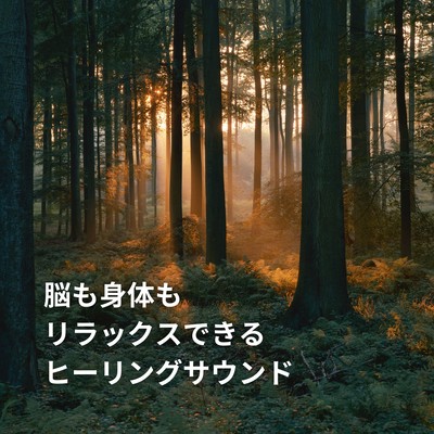 Healing Tones for Mind and Body Relaxation Front Cover