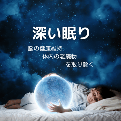 Deep Sleep -Maintain Brain Health and Detox Your Body- Front Cover