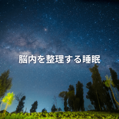 脳内を整理する睡眠のジャケット写真